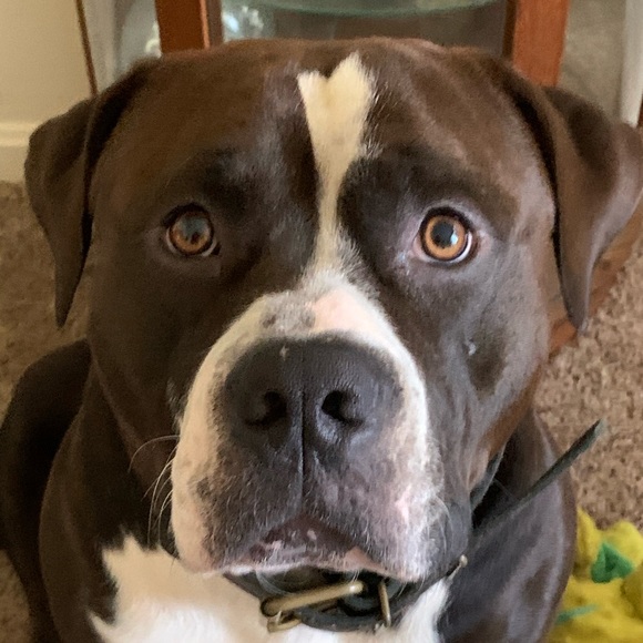 Meet your Posher, Jeremy - Picture 4 of 16